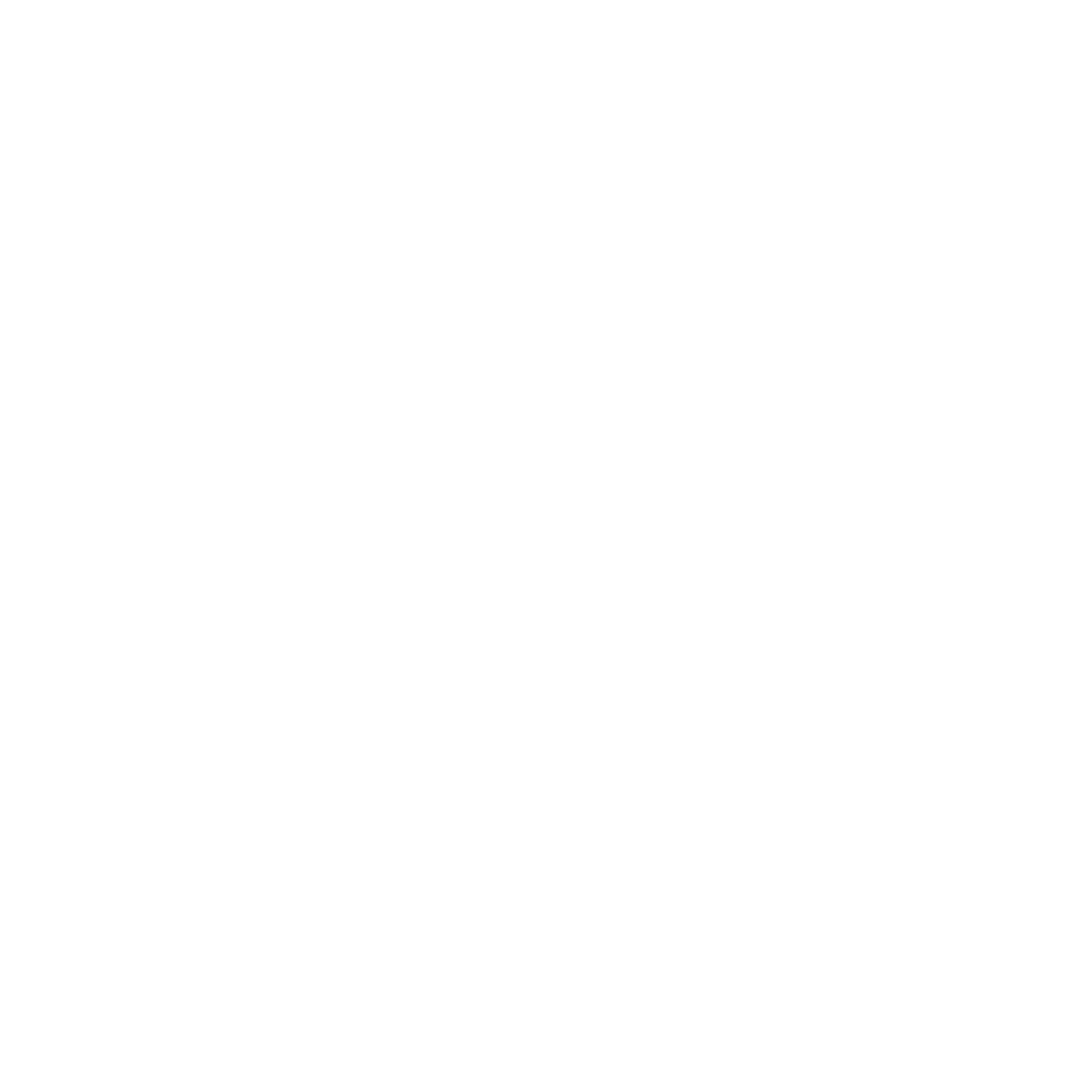 NexxusOne Platform logo